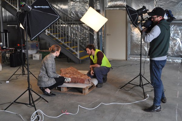 3D scanning of fish fossils