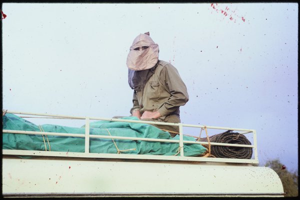 Oliver Chalmers, former Curator of Minerals, in protective headwear while studying Australites in central South Australia