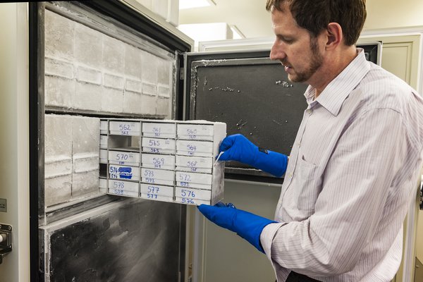 Dr Mark Eldridge with the frozen tissue collection