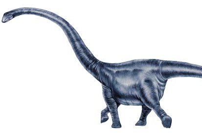 Mamenchisaurus