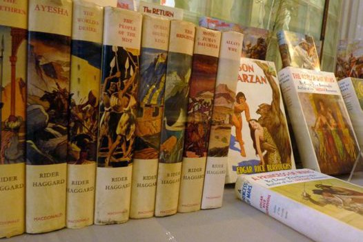 Adventure novels