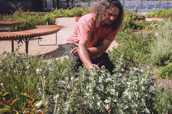 Clarence Slockee is a Cudgenburra/Bundjalung Aboriginal man and Director of the 100% Aboriginal owned cultural landscape and design company, Jiwah