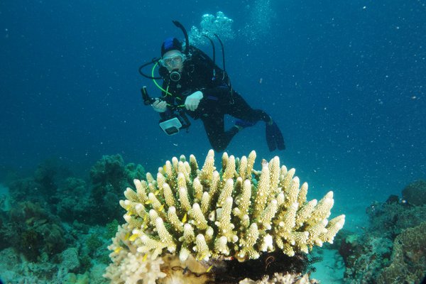 Lizard Island Research Station 2017