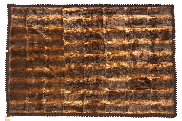 M7310 Platypus Rug