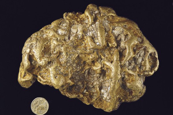 Maitland Bar Gold Nugget