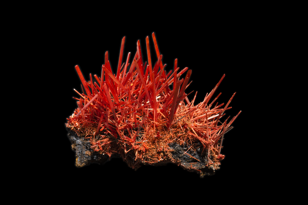 Crocoite on limonite D.50681